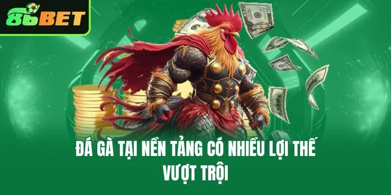 Đá gà tại nền tảng có nhiều lợi thế vượt trội