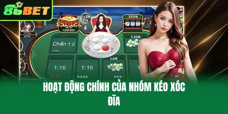 Hoạt động chính của nhóm kéo xóc đĩa