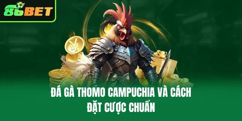 Đá Gà Thomo Campuchia và cách đặt cược chuẩn